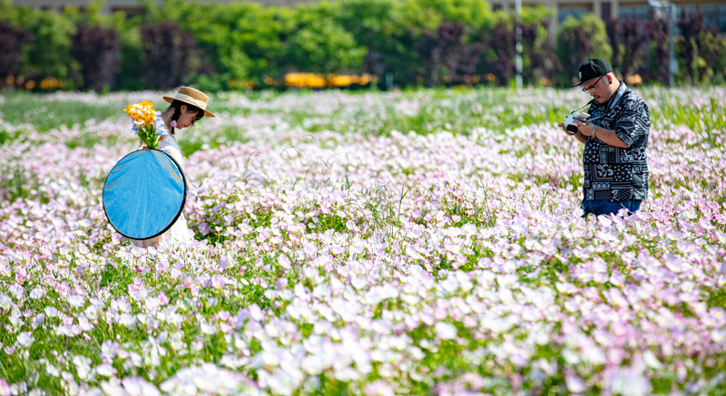 錫城新增休閑賞景好去處